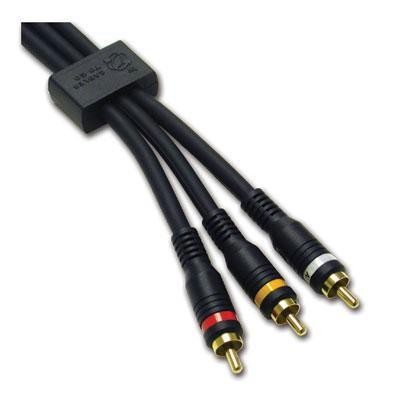 12' Velocity RCA A V Cable