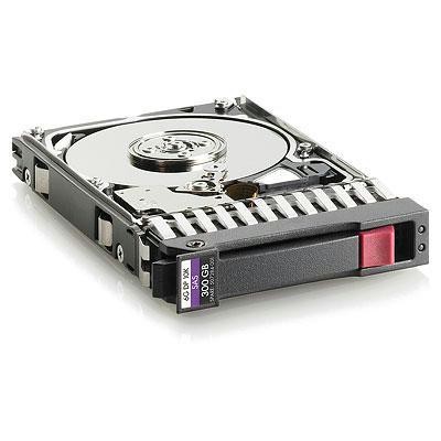 300GB 10K 6G 2 5 SAS DP HDD