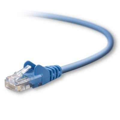 50' Cat5e Patch- Blue