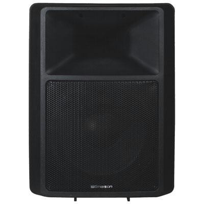 300W 2-Way Speaker w 12\" Woofe