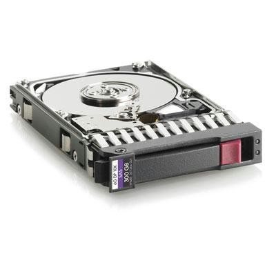 300GB 10K 6G 2 5 SAS DP HDD