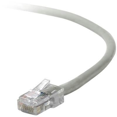 100' Cat5e Patch Cable