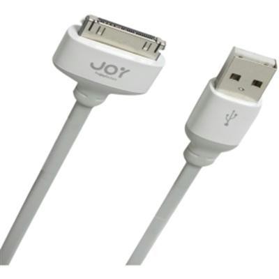 30pin-USB 4ft Cable