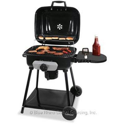 BR Charcoal Grill 410sqin
