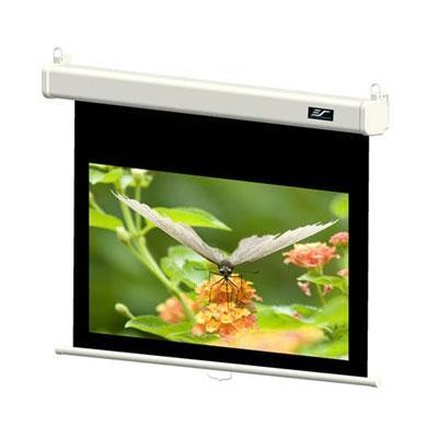 100\" Manual Pull down Scree