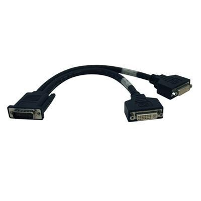 1ft Dms-59 To (2) Dvi-i Female