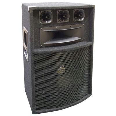 12\" Five Way Pro Audio Speaker