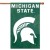 Michigan St Appliquebannerflag