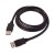 DisplayPort Cable - 2M