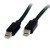 3' Mini Displayport Cbl M/m