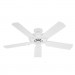 52" Sea Air Ceiling Fan