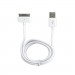 Charge Glo Sync Cable White