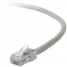 100' Cat5e Patch Cable