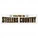 Steelers 8ft X 2ft Banner Wh
