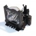 Replacement Projector Lamp