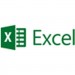 Excel 2013 Medialess Pkc