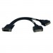 1ft Dms-59 To (2) Dvi-i Female